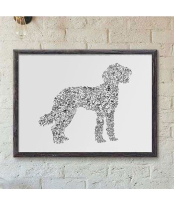 Labradoodle en linge