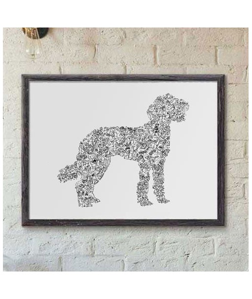 Labradoodle en linge