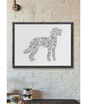 Labradoodle en linge