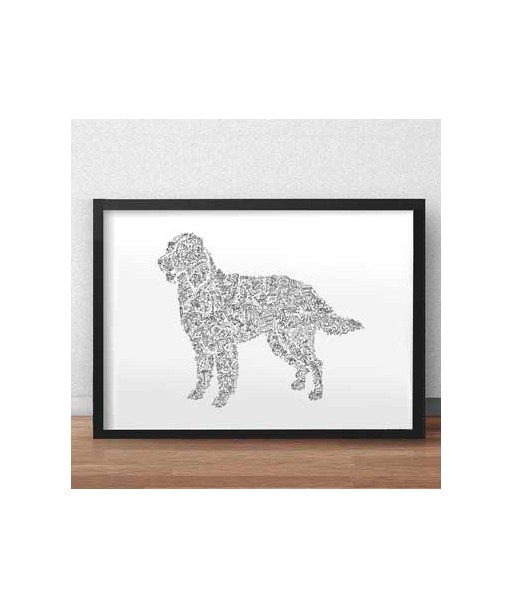 French Spaniel destockage