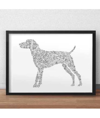 German Shorthaired Pointer - GSP vous aussi creer 