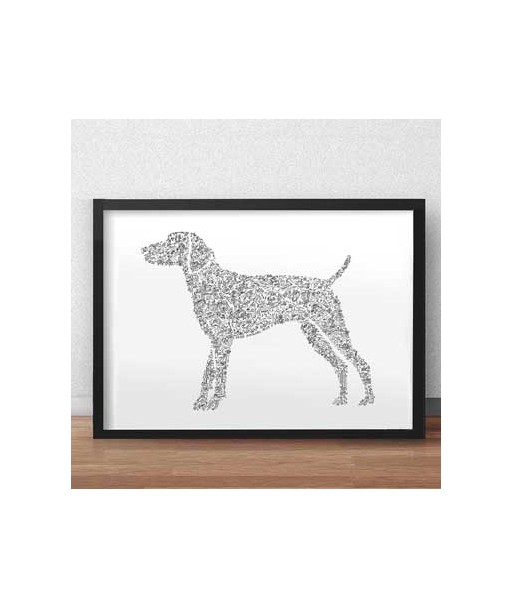 German Shorthaired Pointer - GSP vous aussi creer 