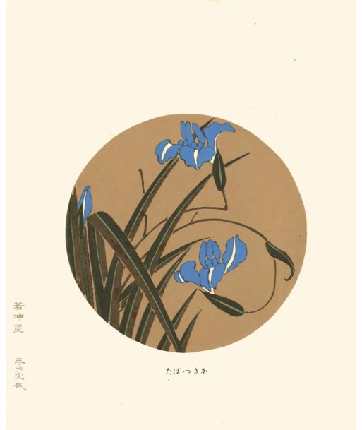 Iris bleu de Jakuchu Ito | Reproduction Fine Art prix