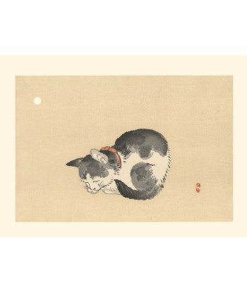 Chat endormi de Kono Bairei | Reproduction Fine Art Comparez et commandez 