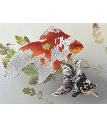 Estampe Japonaise de Tsuchiya Rakusan | Goldfish - Poissons Rouges votre