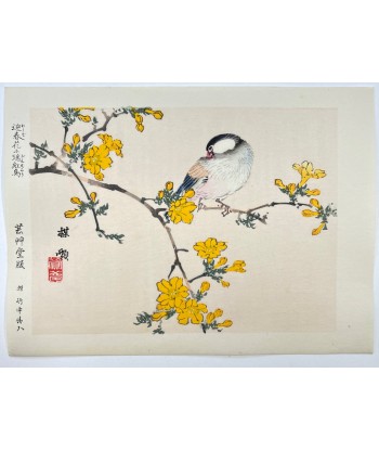 Estampe Japonaise de Kono Bairei | Oiseau et Fleurs jaunes de France