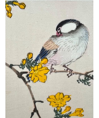 Estampe Japonaise de Kono Bairei | Oiseau et Fleurs jaunes de France