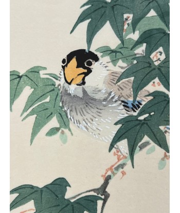 Estampe Japonaise de Kono Bairei | Oiseau sur une Branche d'Erable votre restaurant rapide dans 