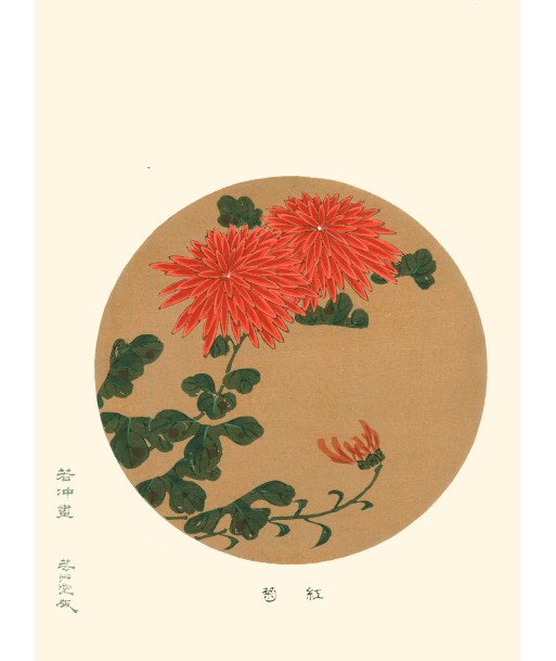 Chrysanthèmes Rouges de Jakuchu Ito | Reproduction Fine Art les ligaments