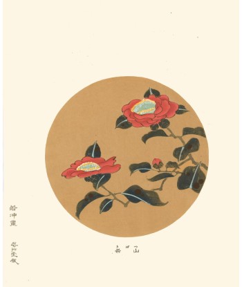 Camelia Tsubaki  de Jakuchu Ito | Reproduction Fine Art livraison et retour toujours gratuits