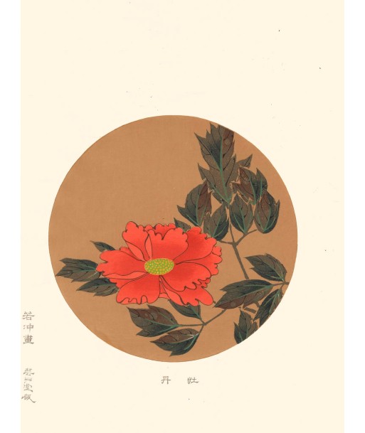 Pivoine de Jakuchu Ito | Reproduction Fine Art les muscles