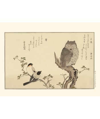 Le Bouvreuil et le Hibou de Utamaro Kitagawa | Reproduction Fine Art en stock