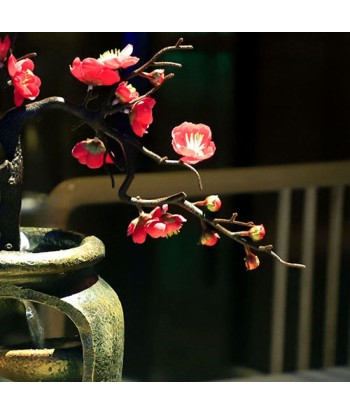 Fontaine Bouddha avec Cascade et Arbre du Japon sélection de produits