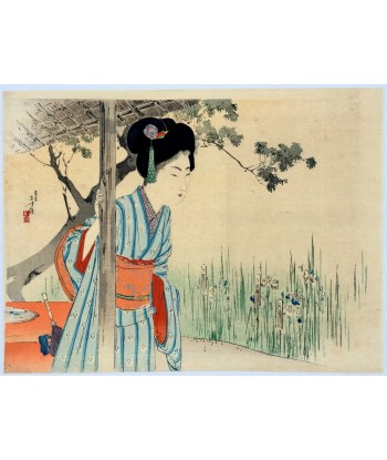 Estampe Japonaise Kuchi-e de Toshikata Mizuno | Jeune femme dans un jardin d'iris Jusqu'à 80% De Réduction