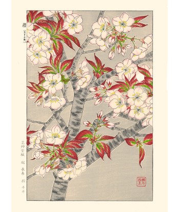 Cerisier en Fleurs de Kawarazaki Shodo | Reproduction Fine Art france