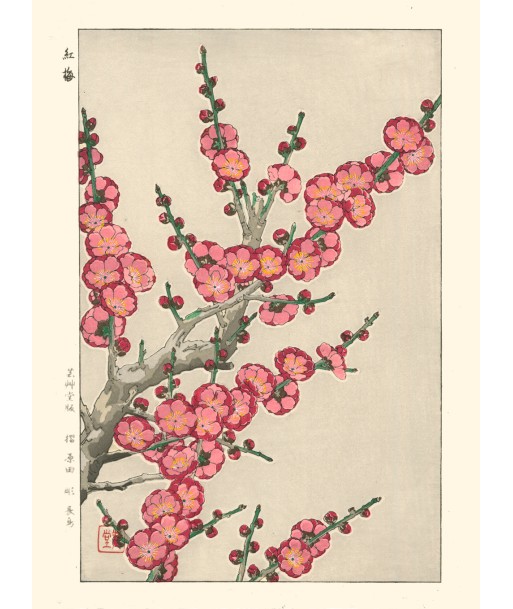 Fleurs de Prunier de Kawarazaki Shodo | Reproduction Fine Art la livraison gratuite