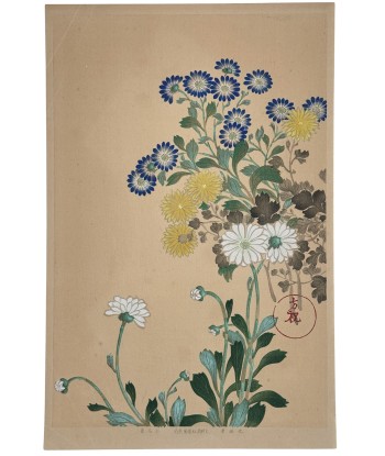 Estampe Japonaise | Chrysanthèmes et asters bleus pour bénéficier 