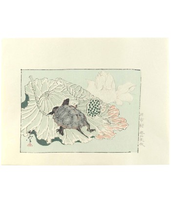 Estampe Japonaise de Kyosai | Tortue sur fleur de lotus offre 