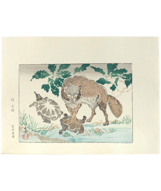 Estampe Japonaise de Kyosai | Tanuki et tortues brillant des détails fins