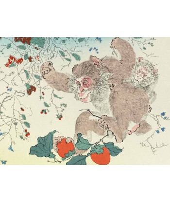 Estampe Japonaise de Kyosai | Singes et kaki basket pas cher