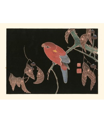 Perroquet rouge sur une branche de chêne de Jakuchu Ito | Reproduction Fine Art offre 