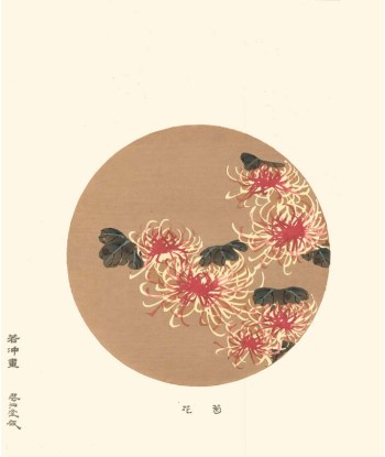 Chrysanthèmes Rouge et Blanc de Jakuchu Ito | Reproduction Fine Art france