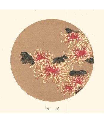 Chrysanthèmes Rouge et Blanc de Jakuchu Ito | Reproduction Fine Art france