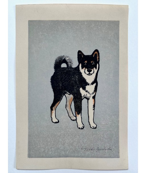 Estampe Japonaise de Yoshida Toshi | Chien Shiba-Inu du meilleur 