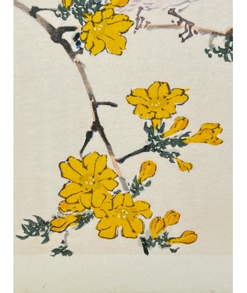 Estampe Japonaise de Kono Bairei | Oiseau et Fleurs jaunes soldes