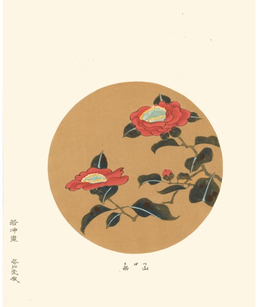 Camelia Tsubaki  de Jakuchu Ito | Reproduction Fine Art la chaussure