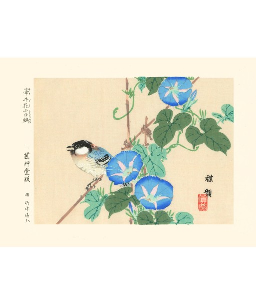 Mésange et liseron bleu de Kono Bairei | Reproduction Fine Art pas cheres