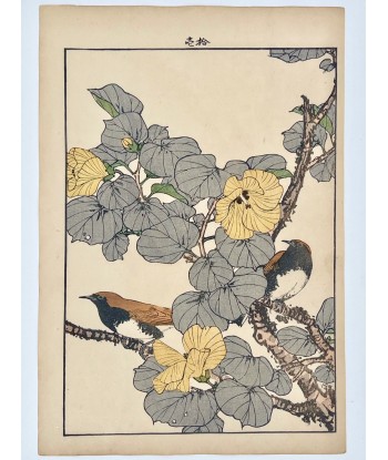 Estampe Japonaise de Keinen Imao | Oiseau et Hibiscus de Chine les ctes