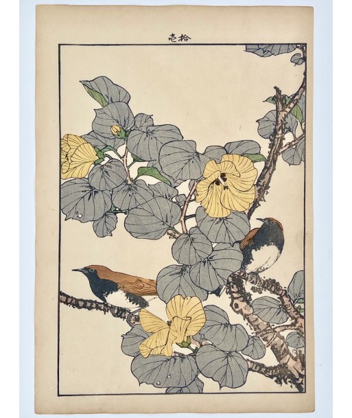 Estampe Japonaise de Keinen Imao | Oiseau et Hibiscus de Chine les ctes