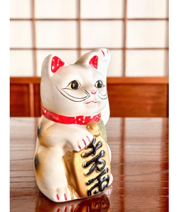 Chat Blanc Maneki Neko en céramique avec de longues moustaches de France