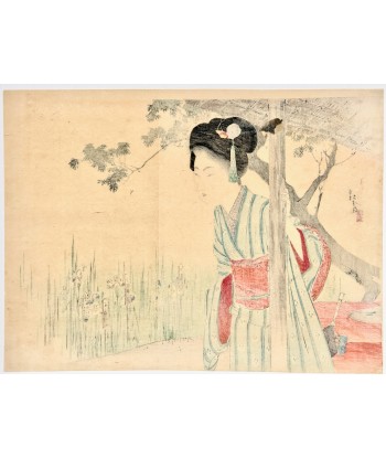 Estampe Japonaise Kuchi-e de Toshikata Mizuno | Jeune femme dans un jardin d'iris solde