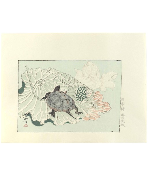 Estampe Japonaise de Kyosai | Tortue sur fleur de lotus pas cher 