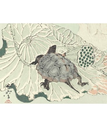 Estampe Japonaise de Kyosai | Tortue sur fleur de lotus pas cher 