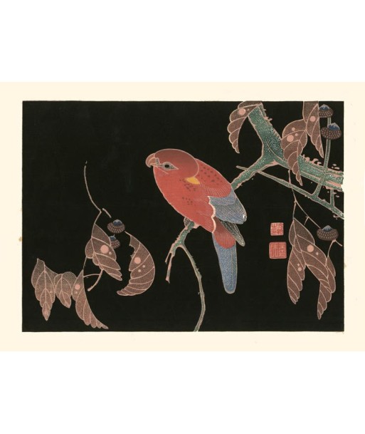 Perroquet rouge sur une branche de chêne de Jakuchu Ito | Reproduction Fine Art est présent 