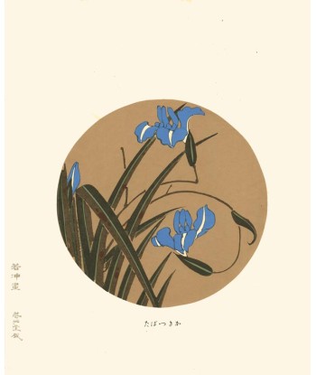 Iris bleu de Jakuchu Ito | Reproduction Fine Art de pas cher